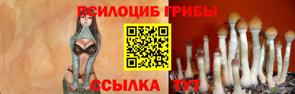 Псилоцибиновые грибы ЛСД Новокуйбышевск